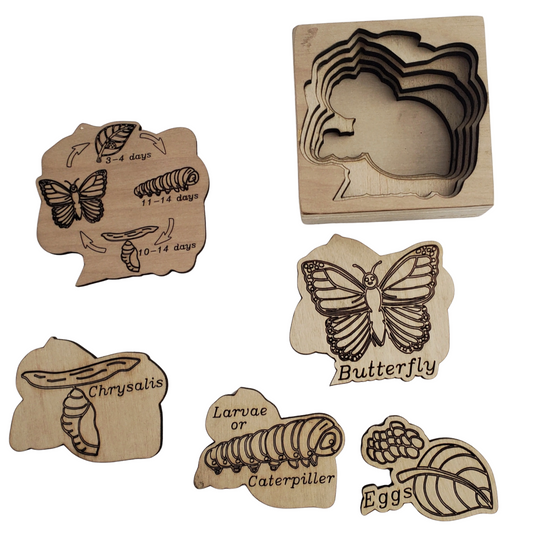 A set of wooden puzzle pieces depicting different stages of the butterfly life cycle, including egg, caterpillar, chrysalis, and butterfly.
